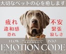 大好きな家族あなたの♥ペットの心♥をそっと癒します ネルソン博士 エモーションコードでペットの囚われた感情を解放 イメージ1