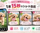 ペット写真1枚から可愛いリール動画15本作ります あなたのペットが主役！15秒のAI動画を15本制作 イメージ3