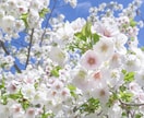 癌経験者がお話お伺いします 自分や家族が癌と診断された！どうしたら良い？お話伺います。 イメージ1