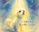 お空組さんに愛の光のヒーリングをします 〜愛するペットさんの魂に光のヒーリングギフト〜 イメージ1