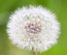 私げんき（名前）があなたを元気にします 私はなんて不運な人なんだと感じているあなたへ イメージ4
