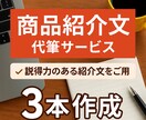 売れる商品紹介文を代筆します 説明文で「売れる」をサポート！ イメージ1