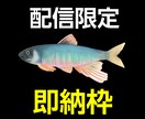 ライブ即納！1時間で生き物イラスト描きます 配信中限定出品！制作過程をリアルタイムにご覧いただけます イメージ1