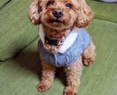 愚痴、悩み、恋愛、仕事、なんでもお話聞きます 困り事、悩み、恋愛、いじめ、愚痴、いつでもお話ください イメージ1