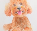わんちゃん（ペット・犬）を水彩・色鉛筆で描きます ペットのお写真、可愛らしく原画(イラスト)製作します❀ イメージ3