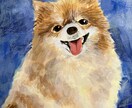 可愛いペットの絵、アクリル絵の具で描きます 格安キャンペーン中！！大切なペットの絵画はいかがですか？ イメージ5