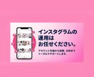 アカウント開設〜運用まで！インスタ１ヶ月代行します 実績のあるプロに丸投げでOK！ イメージ1