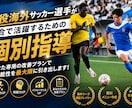 現役海外サッカー選手が個別指導します 試合で活躍するための技術・戦術を丁寧に指導します イメージ1
