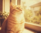 いつもの写真を、アート風に仕上げます お好きなテイストを選ぶだけ。写真の雰囲気を手軽に変えます！ イメージ5