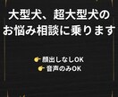 大型犬、超大型犬の飼育相談に乗ります セントバーナード飼育歴30年の経験でお話します イメージ1