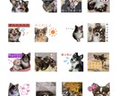 お写真からかわいいLINEスタンプ作成します お子様・お孫様・ペットのお写真を活かしてスタンプ作成します イメージ2