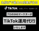 丸投げで最大の成果が出るTikTok運用いたします 100万再生を複数叩き出したインフルエンサーが担当 イメージ1