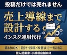 売上導線まで設計するインスタ運用代行をします 素材0｜知識0｜丸投げOK！安心のInstagram運用代行 イメージ1