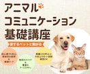ペットと繋がるアニマルコミュニケーション講座します 愛するペットの声を聴きませんか？初心者でも可能な実践講座 イメージ1