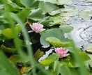 東京都、神奈川県での出張撮影、レタッチを行います 雑誌のような記憶に残る素敵な1枚を イメージ3