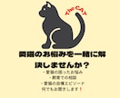 愛猫のお悩み・相談お聞きします 困った事など、飼育に関する事など色々お聞きします！ イメージ1