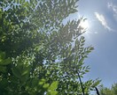 今あなたに必要な癒しのヒーリングをお届けします あたたかい波動に触れてホッと一息 イメージ2