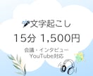 音声や動画の文字起こしを承ります 丁寧なヒアリングで、お客様のイメージに合わせて納品いたします イメージ1