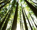 恋愛│相手の本音を霊視します 言葉の奥にある“本当の気持ち”を丁寧に読み解きます イメージ6