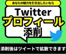 あなたのTwitterプロフィールを添削します 相手に伝わるプロフィールにしていきます イメージ1