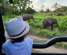 子連れ旅行どこに行ったらいい？を解決します！ます 私は88か国、1歳の娘をつれて10か国以上経験済み★国内も イメージ2