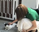 3日間ゆっくりLine感覚でチャットします 3日間ゆっくりお話しましょう✩.*˚100前後やりとり..♪ イメージ1