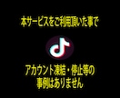TikTok投稿の再生数+5万再生増加・拡散します 多国籍且つ質の高いフォロワーで30日間減少保証をお約束します イメージ8
