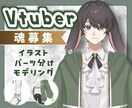 限定1点！VTuberの魂募集します 全行程制作、要素追加可能、1部著作権譲渡 イメージ1