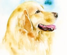 透明水彩でペットや動物の似顔絵を描きます 手描きならではの温もりを手元に。プレゼントにも イメージ2