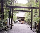 呼ばれた人しか参拝出来ない神社、代理参拝いたします 道を開きたい方必見！猿田彦大神の総本宮である椿大神社へ参拝 イメージ2