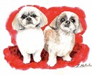 猫の可愛いイラスト描きます 癒し系のペットイラスト描きます。 イメージ4