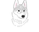 愛犬のイラストを描きます 世界一可愛いあなたの愛犬イラスト柔らかいタッチのイラスト イメージ1