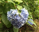 元No2ホストが恋愛、日常、お話し相手いたします 寝る前のひととき、穏やかな時間を演出します！お話ししましょ！ イメージ5
