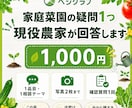 この野菜、今から間に合うか現役農家が判定します 野菜1品目の状況を整理し、次に行う作業を提案します イメージ1