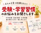 受験・進路・学習のお悩みを一緒に整理します 頭の中を整理して、今やるべきことを明確に イメージ1