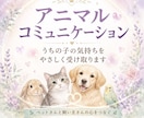 ペットさんとお話しします ペットさんからのメッセージをお届けします イメージ1