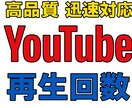 YouTube動画の再生回数＋視聴時間増やします 高品質・迅速対応！評価を増やす為、12月末まで増量中！ イメージ1