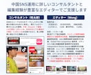 中国SNS「RED（小紅書）の運用を支援します ※公式アカウントの作成代行、投稿作成、運用代行、KOL起用 イメージ4