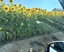 プチ看護師ならではの御意見or御相談が出来ます 〜たった5分でもそのモヤモヤした愚痴や悩みを聞きます^ ^〜 イメージ7