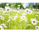 相手の気持ちが知りたい＊徹底分析してお伝えします 相手は私をどう思ってるの？不安なあなたをサポートします！ イメージ2