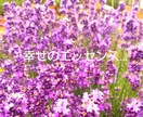 女性専用⭐電話占い・心配事やお悩みを解決へ導きます 行き詰まって落ち込んだ心に寄り添い、解決します✨※恋愛は不可 イメージ5