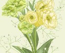 思い出のお花、植物をイラスト化します いつか枯れてしまう花、植物をイラスト化して残しませんか？ イメージ5