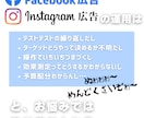 Facebook広告の運用代行します 【全て視る】現役マーケター こだわりの運用 イメージ2