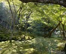 看護師＆保健師のキャリア相談＆応募書類添削します 病院勤務→産業保健師　キャリアの悩みを一緒に整理します イメージ1