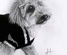 B3も可！愛するペットをお描きし、現物を届けます 愛するペットへのプレゼントいかがでしょう イメージ2