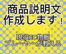 Amazonなどで売れる商品説明文を代行します 現役EC物販プレイヤーの商品説明文を提供します！ イメージ1