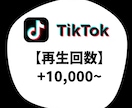 TikTok 再生回数増加します TikTok 再生回数 +1万〜10万回 イメージ1
