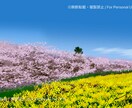 日本の四季を手描きしています 手描き日本の四季デジタルイラストをSNSアイコンや壁紙に！ イメージ3