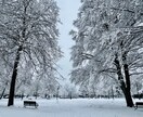カナダの自然の写真売ります カナダに10年住んでいる私のお気に入りな綺麗な景色たち イメージ4