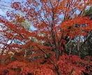 介護のお悩み鑑定いたします ☆現役介護福祉士がお悩みに寄り添います☆ イメージ1